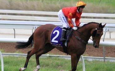 Tips for opening day Belmont Park - 5th May
